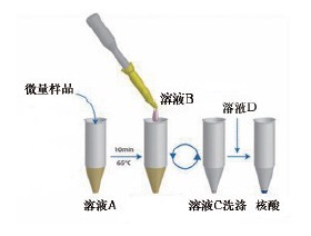 微量样品核酸提取试剂盒