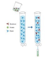 柱式内毒素清除剂