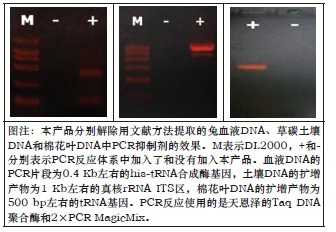 PCR抑制物清除剂