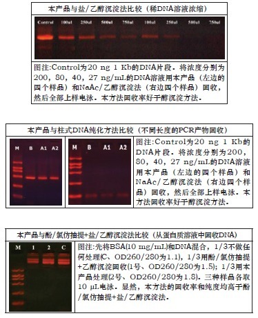 超快非醇核酸沉淀剂-Magic Solution DNABA