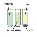 海量PCR片段纯化试剂盒-Mega PCR Clean-Up