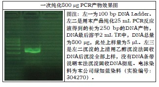 海量PCR片段纯化试剂盒-Mega PCR Clean-Up