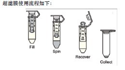 DNA超滤离心管-DNA Ultrafiltration C