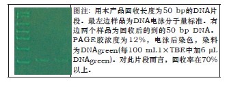 DNA PAGE胶回收试剂盒