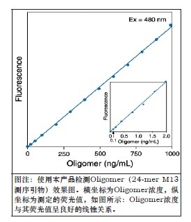 微量单链DNA定量试剂盒