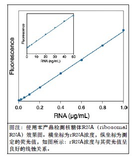 微量RNA定量试剂盒