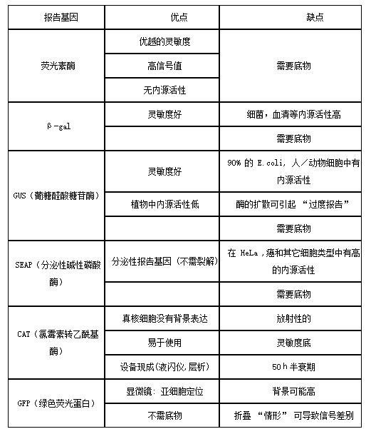 稳定型萤火虫荧光素酶报告基因检测试剂盒
