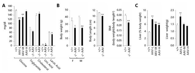 病毒在代谢研究中的应用