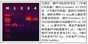 石蜡包埋组织DNAOUT
