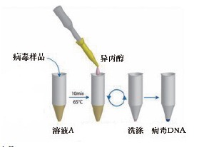 一管式病毒DNAOUT-One-Tube Viral DNA