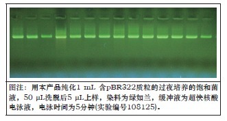 一步法96孔板质粒DNAOUT（离心法）