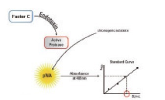 终点显色法内毒素定量试剂盒