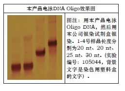 一站式DNA尿素-PAGE电泳套装-One-Stop DNA