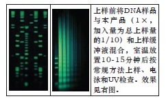 SYBR GreenⅠ，电泳级