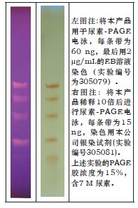 miRNA电泳分子量标准-miRNA Marker