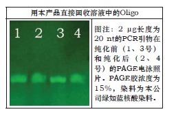 柱式OLIGO回收试剂盒