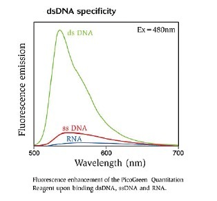 微量双链DNA定量试剂盒