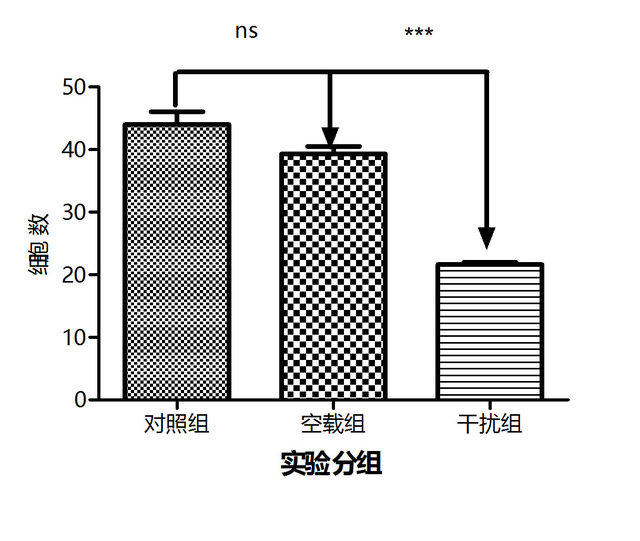 细胞迁移/Transwell