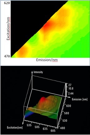 成像激光扫描共聚焦系统