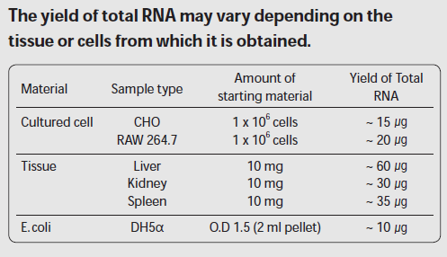 柱式法总RNA抽提纯化试剂盒（Ribospin）