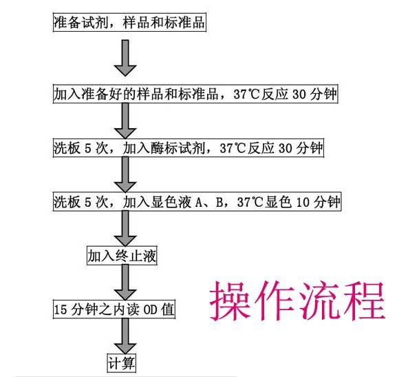 产品细节图片1