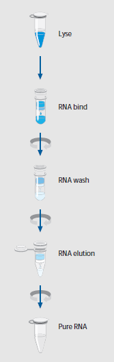 柱式法总RNA抽提纯化试剂盒（Ribospin）