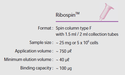 柱式法总RNA抽提纯化试剂盒（Ribospin）