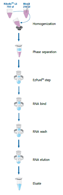 血液总RNA纯化抽提试剂盒（Hybrid-R Blood R