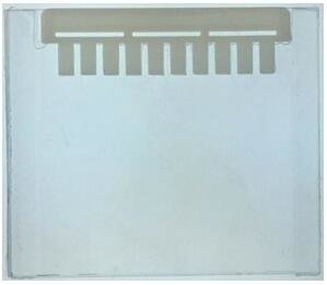 GLASS gel 蛋白电泳预制胶 Bis-Tris  4-