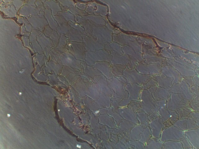 产品细节图片14