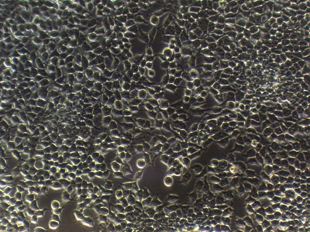 产品细节图片10