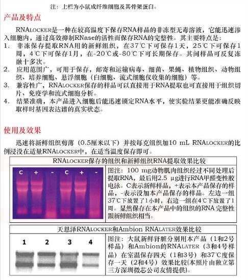 非冻型组织 RNA 保存液250mL品牌