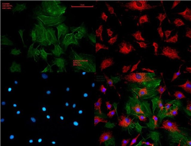 产品细节图片11