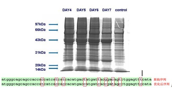QQ图片20040101014240