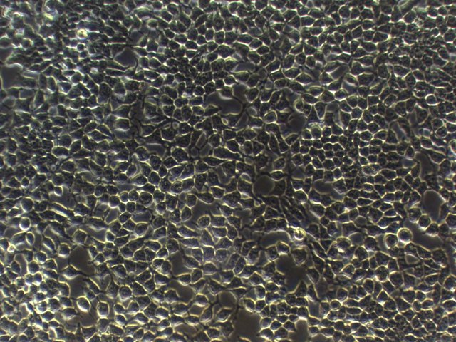 产品细节图片15