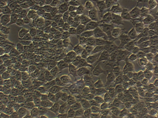 产品细节图片16