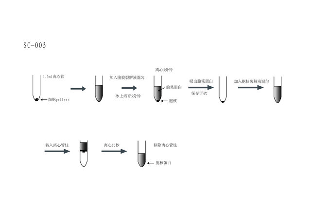 SC-003 Minute™ 细胞质和细胞核分离试剂盒(细胞