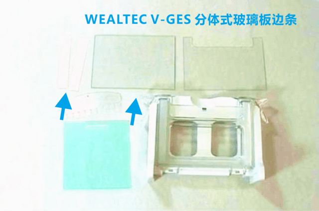 WB蛋白质垂直电泳槽全包围制胶器所有配件