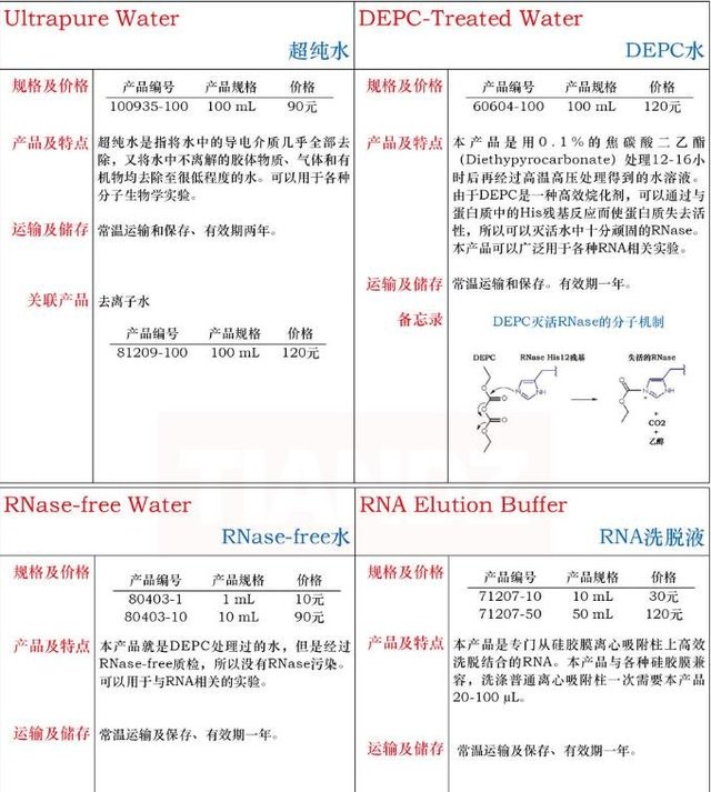 RNase-free 水1mL上海直销