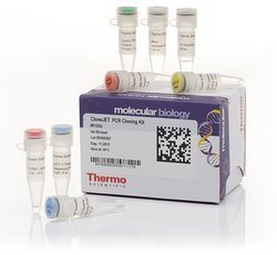 CloneJET PCR克隆试剂盒