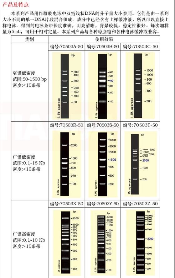 DNA 电泳分子量标准 (2)（50-400 bp）50 次