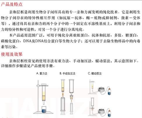 亲和层析柱1 mL价格