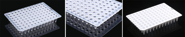 NEST PCR 96孔板系列