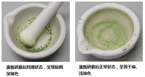植物基因组DNA提取试剂盒