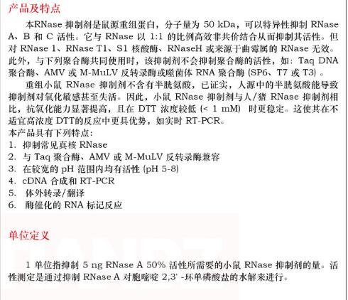 RNase 抑制剂 ( 猪源 )500U直销