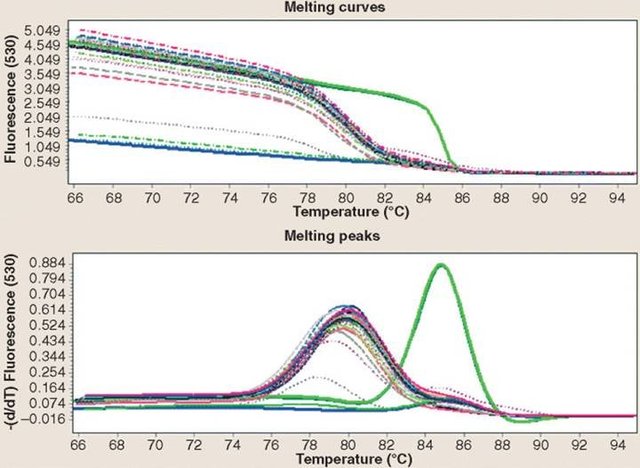 荧光定量PRC检测服务