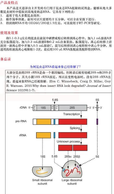 柱式昆虫 RNAout50 次说明书