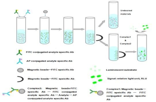 PCSK9试剂盒