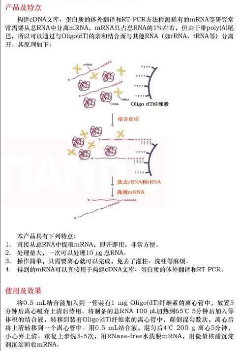 磁珠法 mRNA 提取试剂盒25 次上海直销