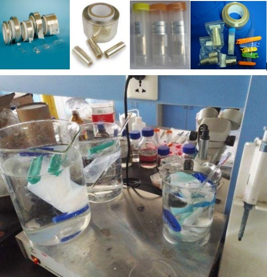 透析袋MD77(8000-14000D)